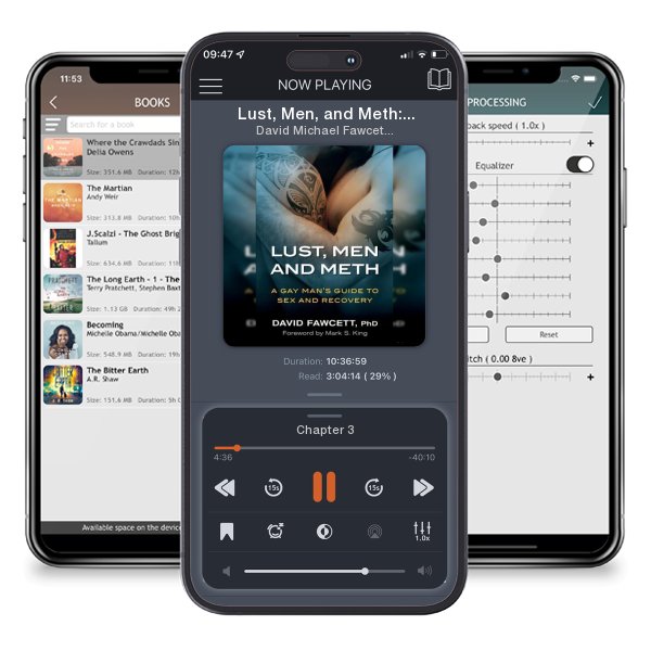 Download fo free audiobook Lust, Men, and Meth: A Gay Man's Guide to Sex and Recovery by David Michael Fawcett and listen anywhere on your iOS devices in the ListenBook app.