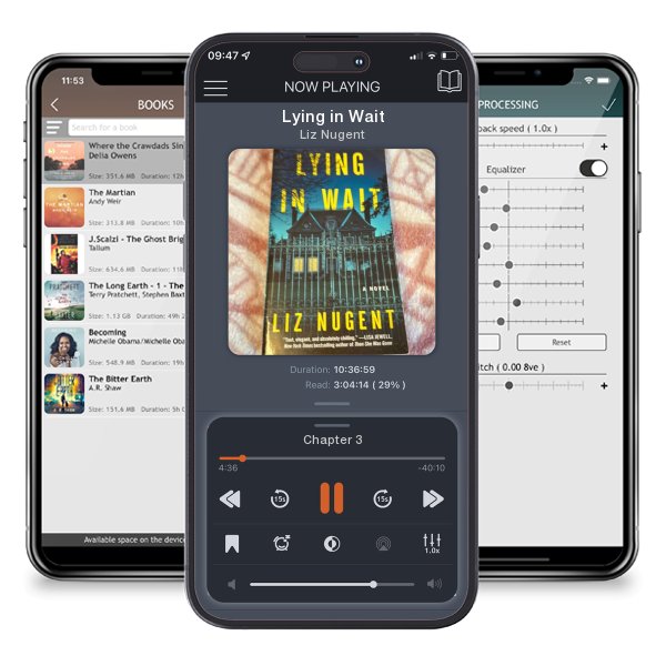 Download fo free audiobook Lying in Wait by Liz Nugent and listen anywhere on your iOS devices in the ListenBook app.