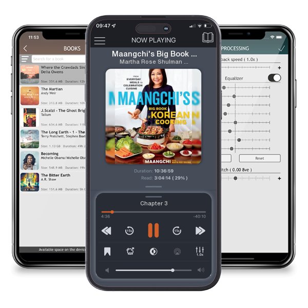 Download fo free audiobook Maangchi's Big Book of Korean Cooking: From Everyday Meals to... by Martha Rose Shulman and Maangchi and listen anywhere on your iOS devices in the ListenBook app.