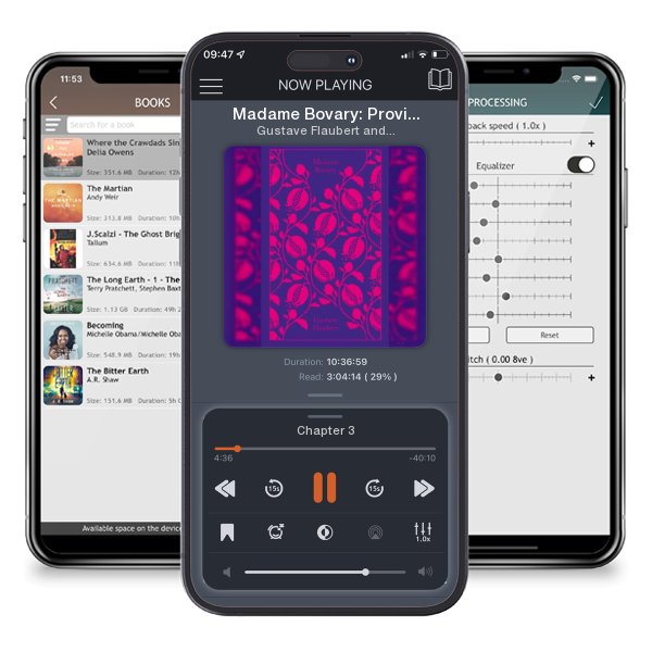 Download fo free audiobook Madame Bovary: Provincial Lives by Gustave Flaubert and Coralie Bickford-Smith and listen anywhere on your iOS devices in the ListenBook app.