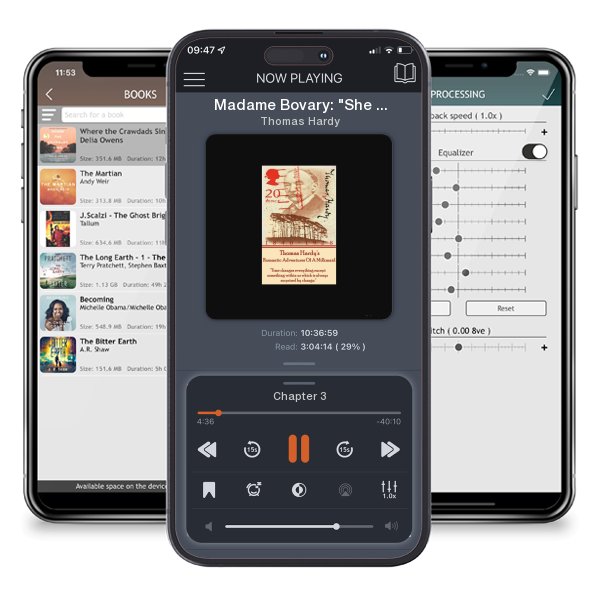 Download fo free audiobook Madame Bovary: 