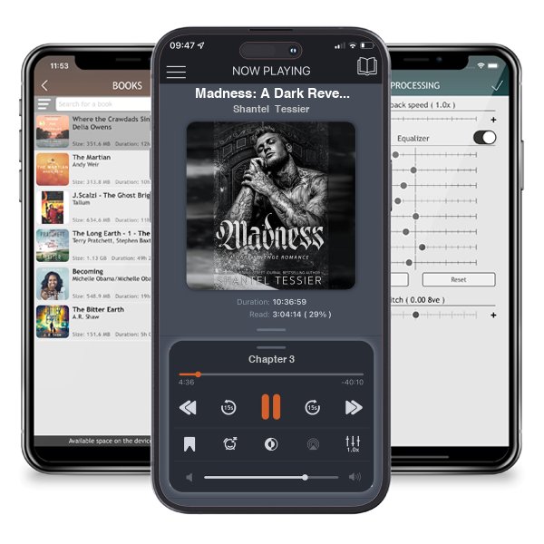 Download fo free audiobook Madness: A Dark Revenge Romance by Shantel Tessier and listen anywhere on your iOS devices in the ListenBook app.