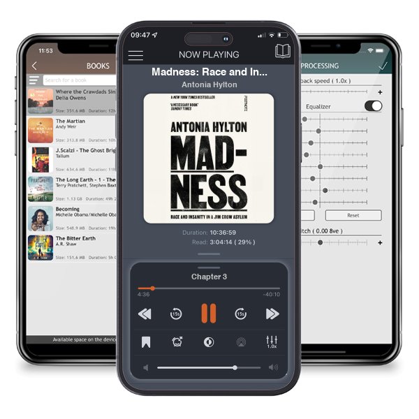 Download fo free audiobook Madness: Race and Insanity in a Jim Crow Asylum - The New York Times Bestseller by Antonia Hylton and listen anywhere on your iOS devices in the ListenBook app.