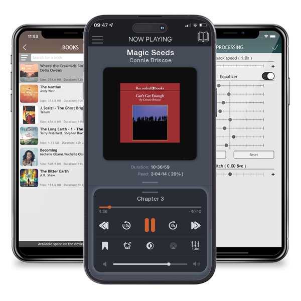 Download fo free audiobook Magic Seeds by Connie Briscoe and listen anywhere on your iOS devices in the ListenBook app.