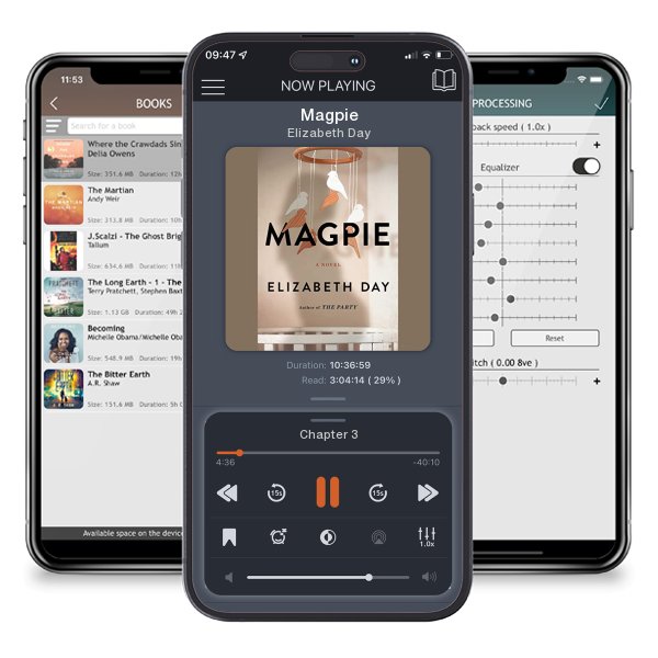 Download fo free audiobook Magpie by Elizabeth Day and listen anywhere on your iOS devices in the ListenBook app.