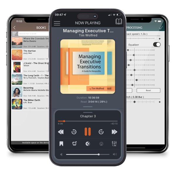 Download fo free audiobook Managing Executive Transitions: A Guide for Nonprofits by Tim Wolfred and listen anywhere on your iOS devices in the ListenBook app.