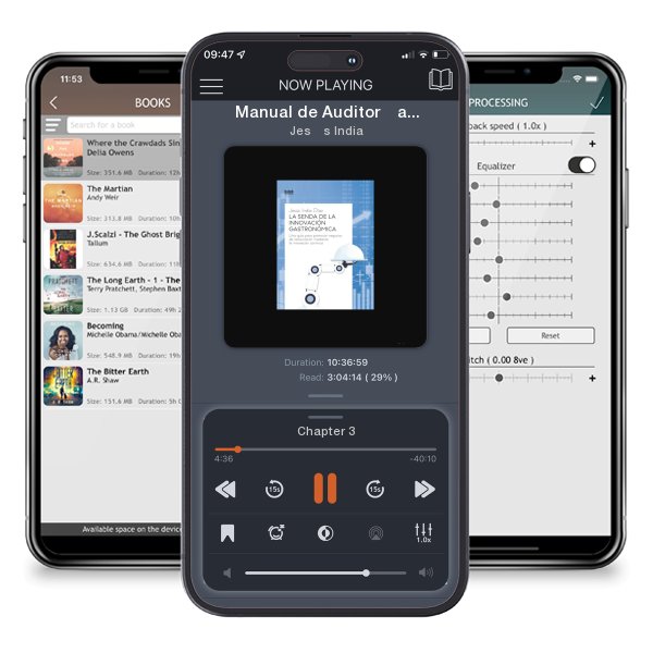 Download fo free audiobook Manual de Auditoría de Estados Financieros en NIIF: Aplicación práctica by Jesús India and listen anywhere on your iOS devices in the ListenBook app.