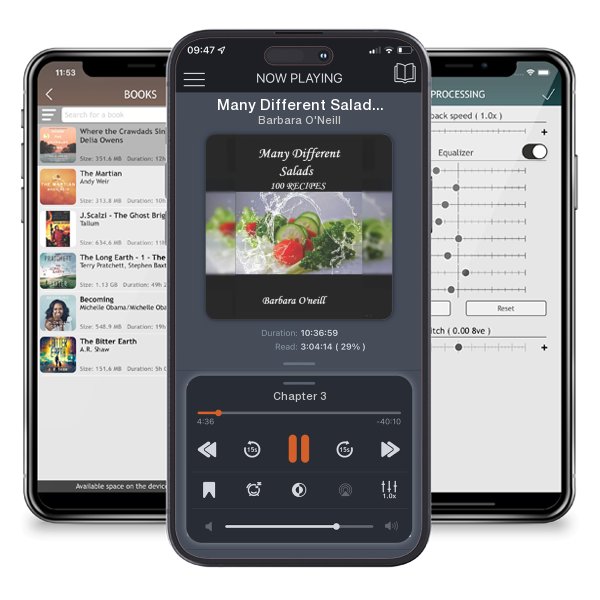 Download fo free audiobook Many Different Salads by Barbara O'Neill and listen anywhere on your iOS devices in the ListenBook app.