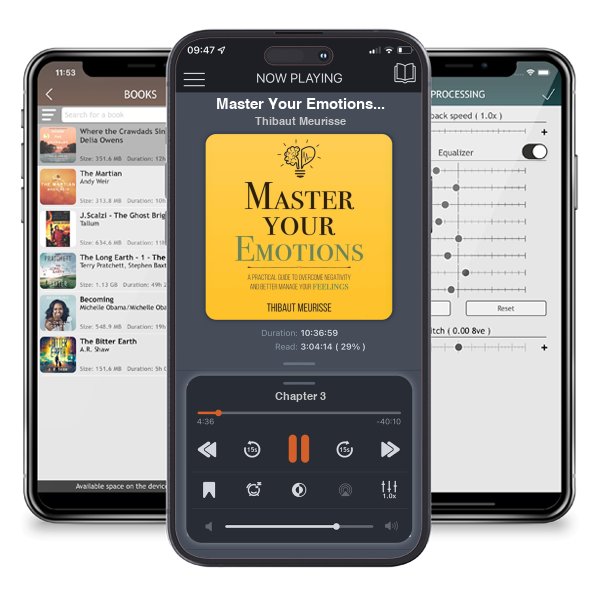 Download fo free audiobook Master Your Emotions: A Practical Guide to Overcome Negativity and Better Manage Your Feelings by Thibaut Meurisse and listen anywhere on your iOS devices in the ListenBook app.