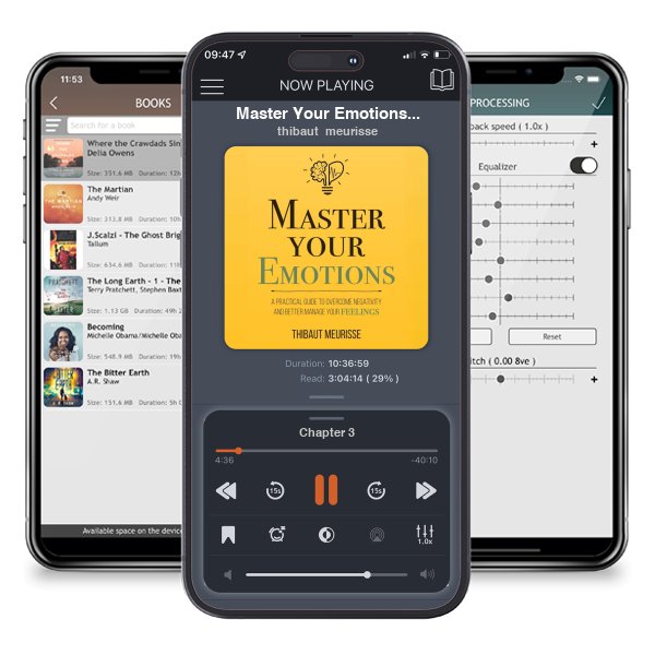 Download fo free audiobook Master Your Emotions: A Practical Guide to Overcome Negativity and Better Manage Your Feelings (Mastery Series Book 1) by thibaut meurisse and listen anywhere on your iOS devices in the ListenBook app.