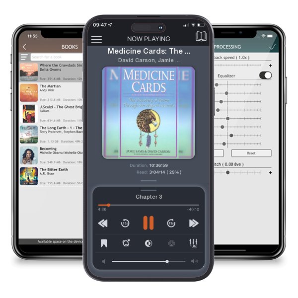 Download fo free audiobook Medicine Cards: The Discovery of Power Through the Ways of... by David Carson, Jamie Sams, et al. and listen anywhere on your iOS devices in the ListenBook app.
