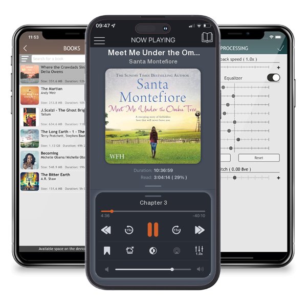 Download fo free audiobook Meet Me Under the Ombu Tree by Santa Montefiore and listen anywhere on your iOS devices in the ListenBook app.