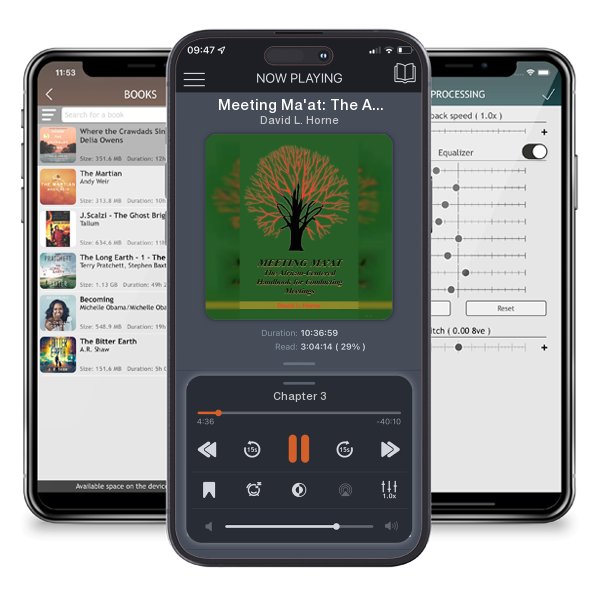 Download fo free audiobook Meeting Ma'at: The African Centered Handbook for Conducting Meetings by David L. Horne and listen anywhere on your iOS devices in the ListenBook app.