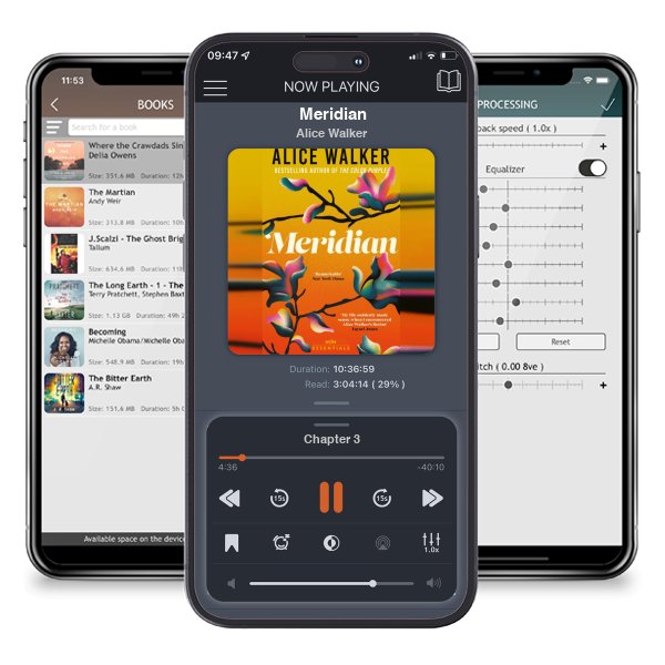 Download fo free audiobook Meridian by Alice Walker and listen anywhere on your iOS devices in the ListenBook app.