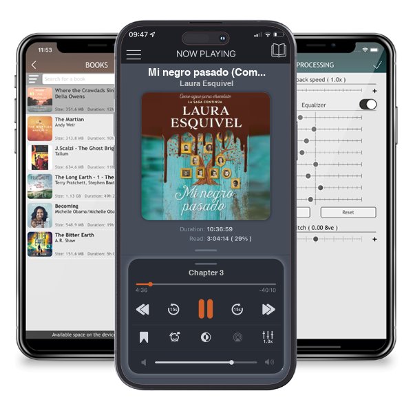 Descargar audiolibro gratis Mi negro pasado (Como agua para chocolate 2) / My Dark Past by Laura Esquivel y escuchar en cualquier lugar en sus dispositivos iOS en la aplicación ListenBook.