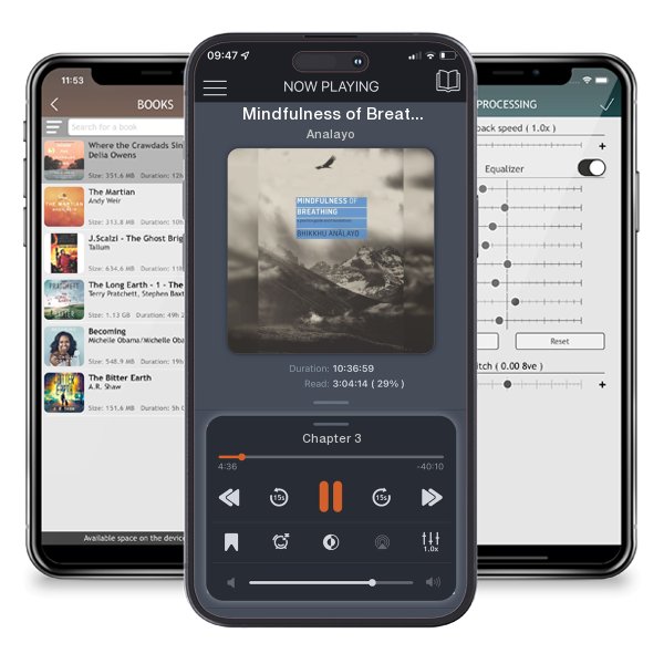 Download fo free audiobook Mindfulness of Breathing: A Practice Guide and Translations by Analayo and listen anywhere on your iOS devices in the ListenBook app.