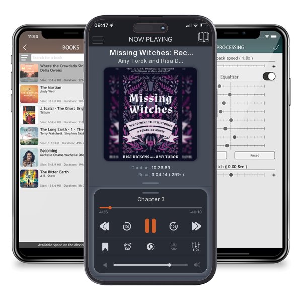 Download fo free audiobook Missing Witches: Recovering True Histories of Feminist Magic by Amy Torok and Risa Dickens and listen anywhere on your iOS devices in the ListenBook app.