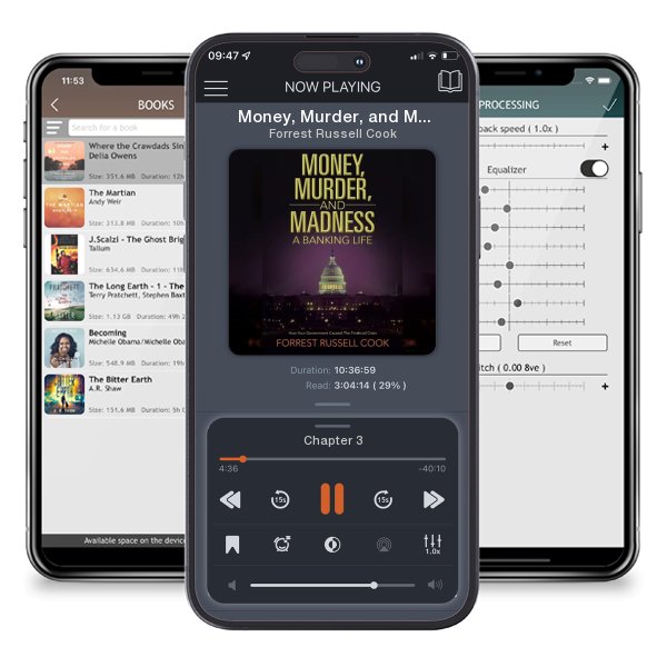 Download fo free audiobook Money, Murder, and Madness: A Banking Life by Forrest Russell Cook and listen anywhere on your iOS devices in the ListenBook app.