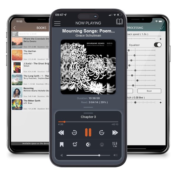 Download fo free audiobook Mourning Songs: Poems of Sorrow and Beauty by Grace Schulman and listen anywhere on your iOS devices in the ListenBook app.