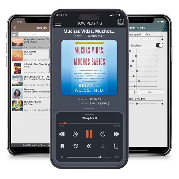 Descargar audiolibro gratis Muchas Vidas, Muchos Sabios (Many Lives, Many Masters): (Many Lives, Many Masters) by Brian L. Weiss M.D. y escuchar en cualquier lugar en sus dispositivos iOS en la aplicación ListenBook.