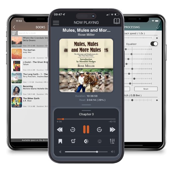 Download fo free audiobook Mules, Mules and More Mules: The Adventures and Misadventures of a First Time Mule Owner by Rose Miller and listen anywhere on your iOS devices in the ListenBook app.