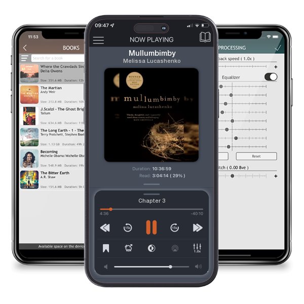 Download fo free audiobook Mullumbimby by Melissa Lucashenko and listen anywhere on your iOS devices in the ListenBook app.