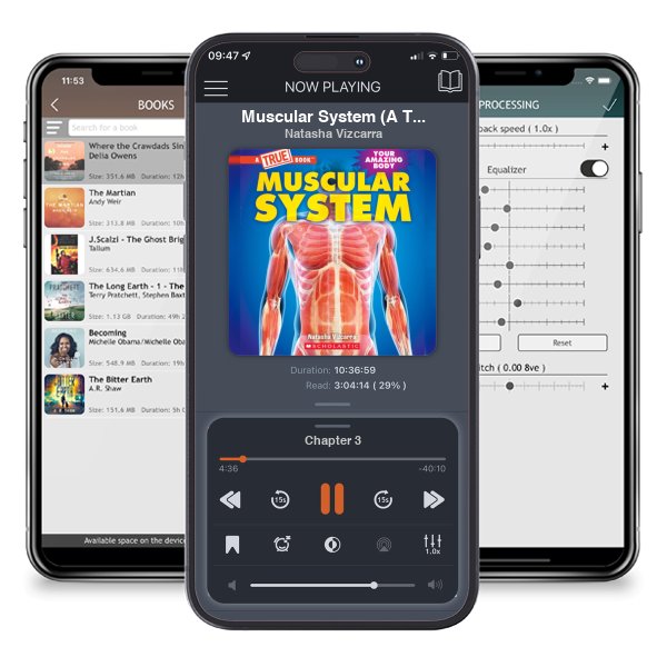 Download fo free audiobook Muscular System (A True Book: Your Amazing Body) (A True Book (Relaunch)) by Natasha Vizcarra and listen anywhere on your iOS devices in the ListenBook app.