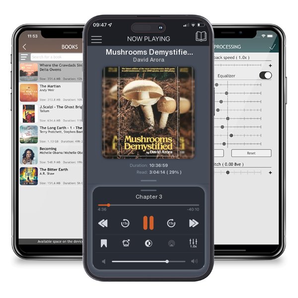 Download fo free audiobook Mushrooms Demystified by David Arora and listen anywhere on your iOS devices in the ListenBook app.