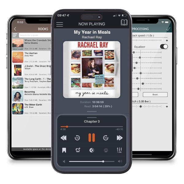 Download fo free audiobook My Year in Meals by Rachael Ray and listen anywhere on your iOS devices in the ListenBook app.