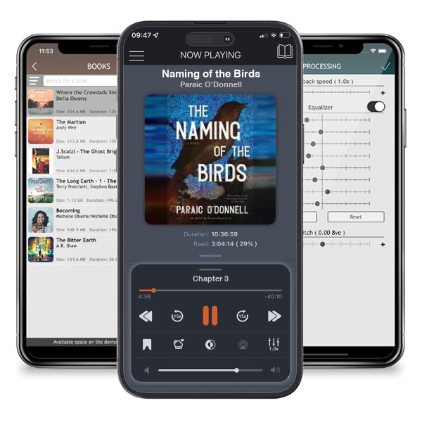 Download fo free audiobook Naming of the Birds by Paraic O'Donnell and listen anywhere on your iOS devices in the ListenBook app.