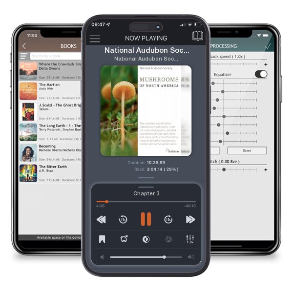 Download fo free audiobook National Audubon Society Mushrooms of North America by National Audubon Society and listen anywhere on your iOS devices in the ListenBook app.