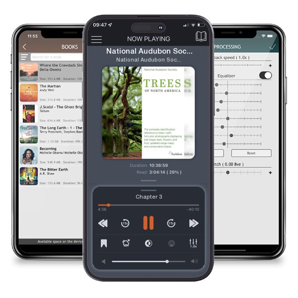 Download fo free audiobook National Audubon Society Trees of North America by National Audubon Society and listen anywhere on your iOS devices in the ListenBook app.