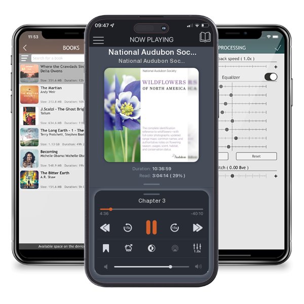 Download fo free audiobook National Audubon Society Wildflowers of North America by National Audubon Society and listen anywhere on your iOS devices in the ListenBook app.