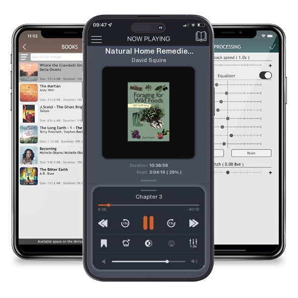 Download fo free audiobook Natural Home Remedies by David Squire and listen anywhere on your iOS devices in the ListenBook app.
