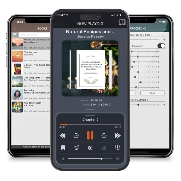 Download fo free audiobook Natural Recipes and Remedies How to heal based on the teachings of Dr. Barbara O'Neill by Jessica Reesby and listen anywhere on your iOS devices in the ListenBook app.