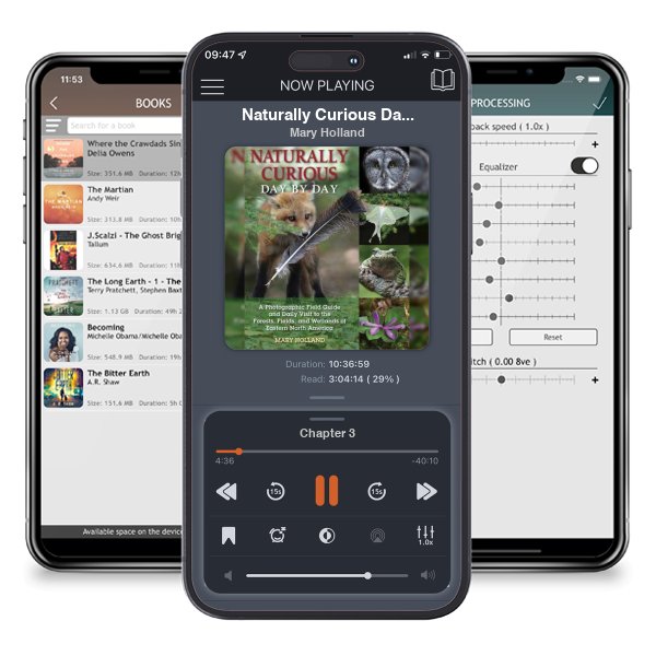 Download fo free audiobook Naturally Curious Day by Day: A Photographic Field Guide and Daily Visit to the Forests, Fields, and Wetlands of Eastern North America by Mary Holland and listen anywhere on your iOS devices in the ListenBook app.