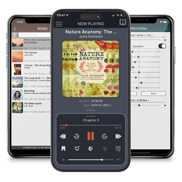 Download fo free audiobook Nature Anatomy: The Curious Parts and Pieces of the Natural... by Julia Rothman and listen anywhere on your iOS devices in the ListenBook app.