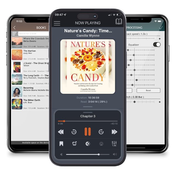 Download fo free audiobook Nature's Candy: Timeless and Inventive Recipes for Creating... by Camilla Wynne and listen anywhere on your iOS devices in the ListenBook app.