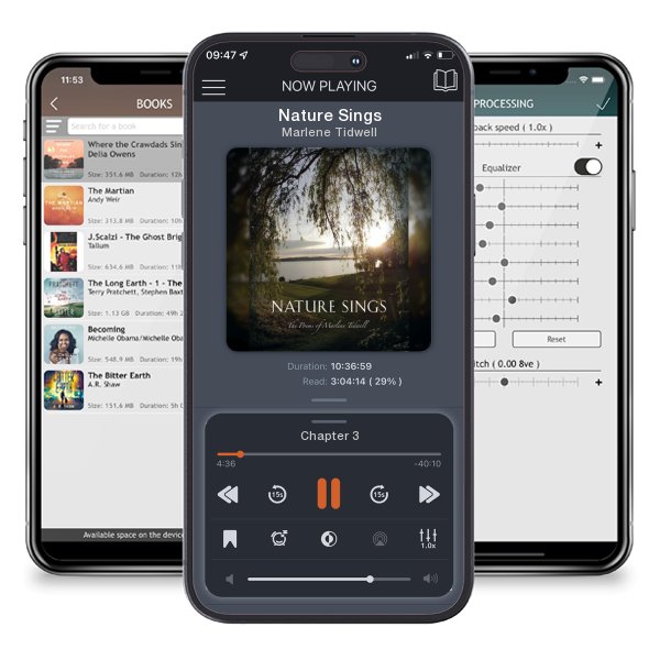 Download fo free audiobook Nature Sings by Marlene Tidwell and listen anywhere on your iOS devices in the ListenBook app.