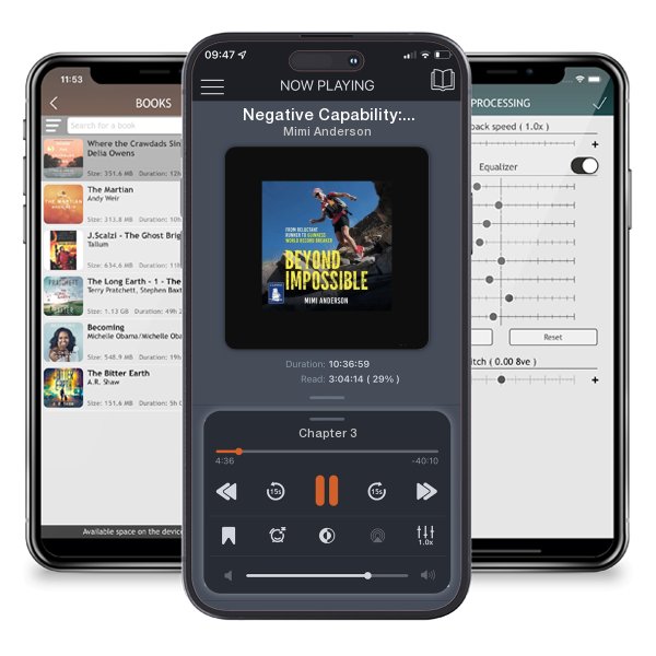 Download fo free audiobook Negative Capability: A Diary of Surviving by Mimi Anderson and listen anywhere on your iOS devices in the ListenBook app.