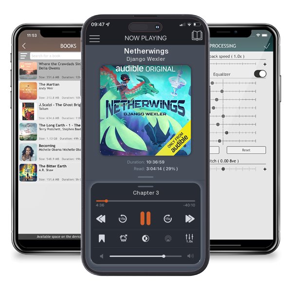 Download fo free audiobook Netherwings by Django Wexler and listen anywhere on your iOS devices in the ListenBook app.