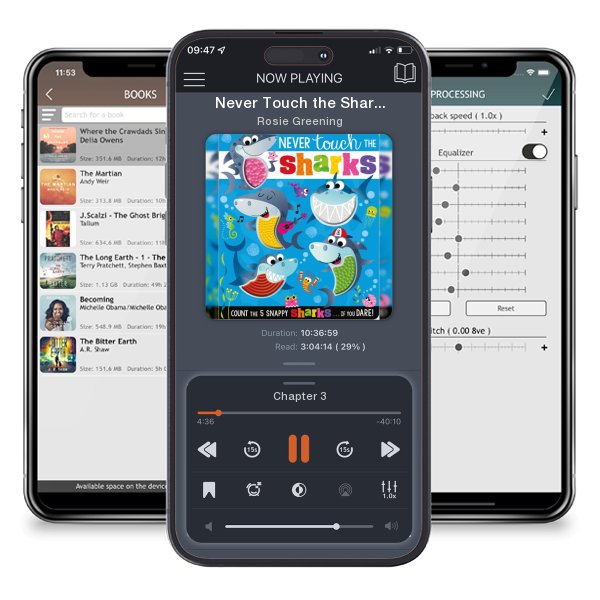 Download fo free audiobook Never Touch the Sharks! (Board book) by Rosie Greening and listen anywhere on your iOS devices in the ListenBook app.