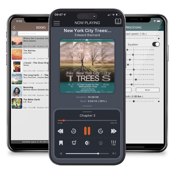 Download fo free audiobook New York City Trees: A Field Guide for the Metropolitan Area by Edward Barnard and listen anywhere on your iOS devices in the ListenBook app.