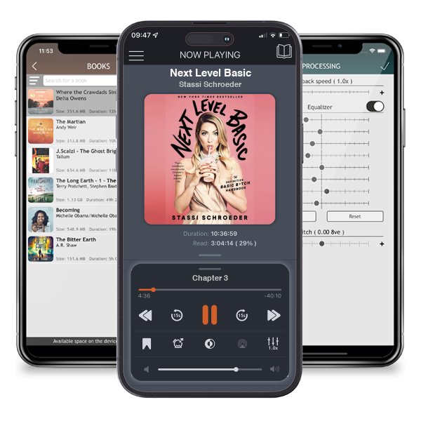 Download fo free audiobook Next Level Basic by Stassi Schroeder and listen anywhere on your iOS devices in the ListenBook app.