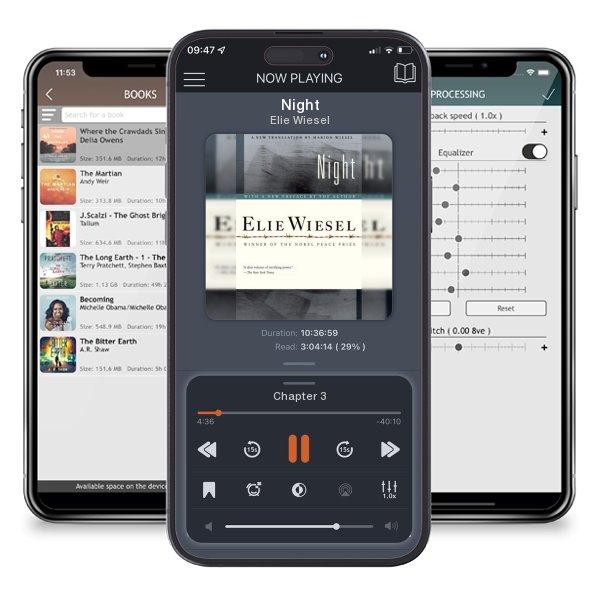 Download fo free audiobook Night by Elie Wiesel and listen anywhere on your iOS devices in the ListenBook app.