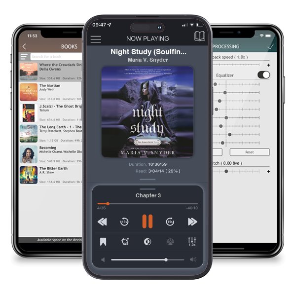 Download fo free audiobook Night Study (Soulfinders, #2; Study, #5) by Maria V. Snyder and listen anywhere on your iOS devices in the ListenBook app.