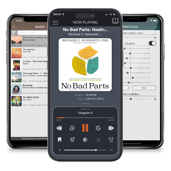 Download fo free audiobook No Bad Parts: Healing Trauma and Restoring Wholeness with the Internal Family Systems Model by Richard C. Schwartz PhD and listen anywhere on your iOS devices in the ListenBook app.