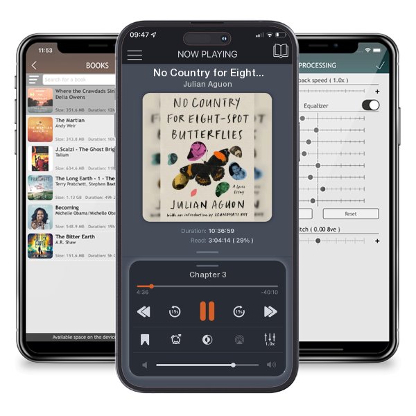 Download fo free audiobook No Country for Eight-Spot Butterflies: A Lyric Essay by Julian Aguon and listen anywhere on your iOS devices in the ListenBook app.