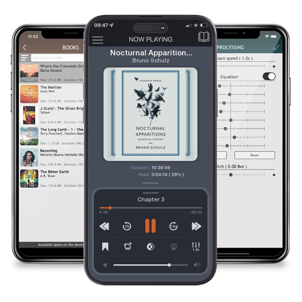 Download fo free audiobook Nocturnal Apparitions by Bruno Schulz and listen anywhere on your iOS devices in the ListenBook app.