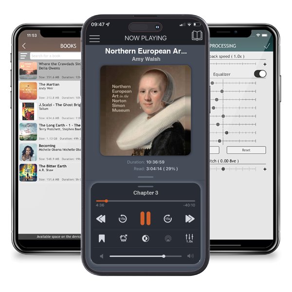Download fo free audiobook Northern European Art in the Norton Simon Museum by Amy Walsh and listen anywhere on your iOS devices in the ListenBook app.